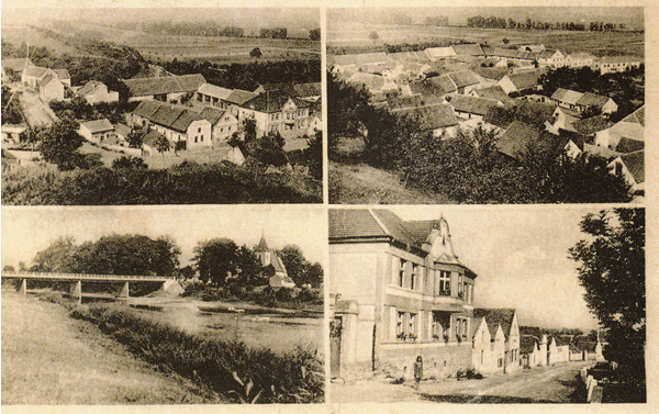 historie Levousy